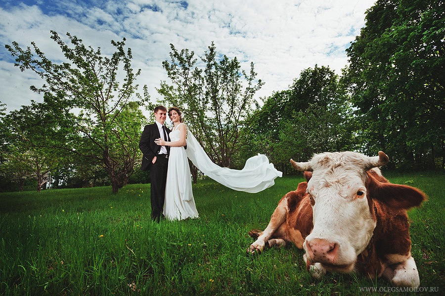 фотограф олег самойлов свадебный свадьба свадебная фотосъемка фотосессия казань
